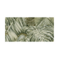 California Palm